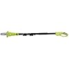 24V-PS8-CT 24-Volt IONMAX Cordless Telescoping Pole Chainsaw, 8-Inch, Tool Only
