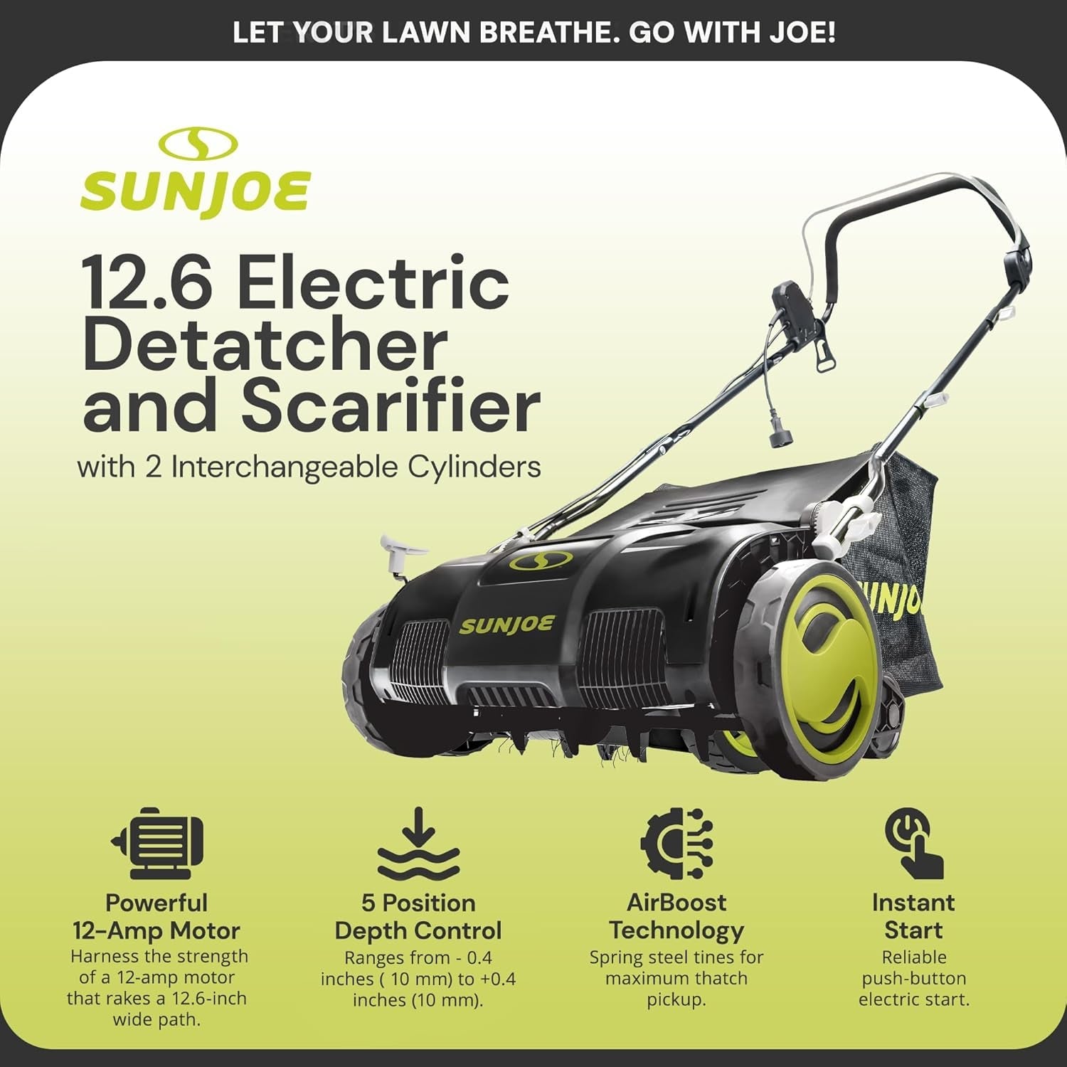 Corded Electric Dethatcher & Scarifier with 8-Gal Bag, 12.6-Inch Cutting Width, 12-Amp Motor - Heavy-Duty Yard Trimmer for Gardening Care and Lawn Maintenance, AJ801E