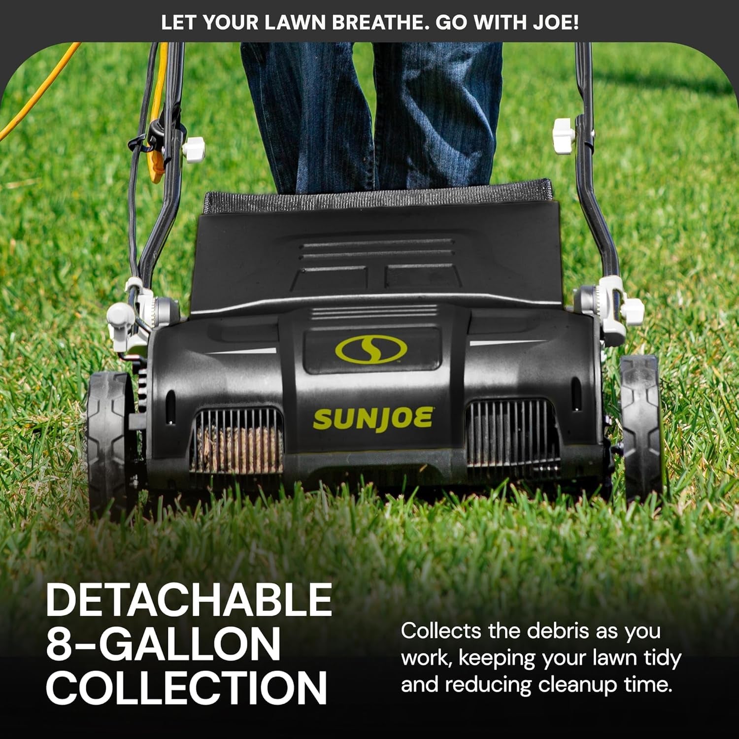 Corded Electric Dethatcher & Scarifier with 8-Gal Bag, 12.6-Inch Cutting Width, 12-Amp Motor - Heavy-Duty Yard Trimmer for Gardening Care and Lawn Maintenance, AJ801E